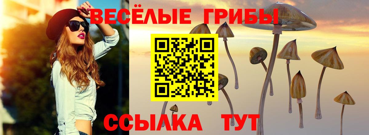 Галлюциногенные грибы ЛСД  Псилоцибиновые грибы MAGIC MUSHROOMS  Азов  Вход с VPN 